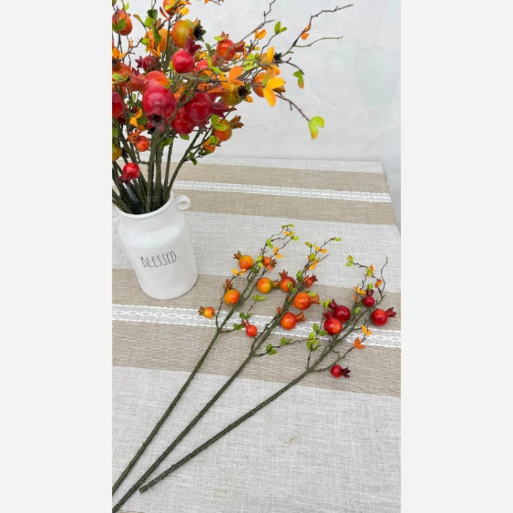 شاخه انار وارداتی