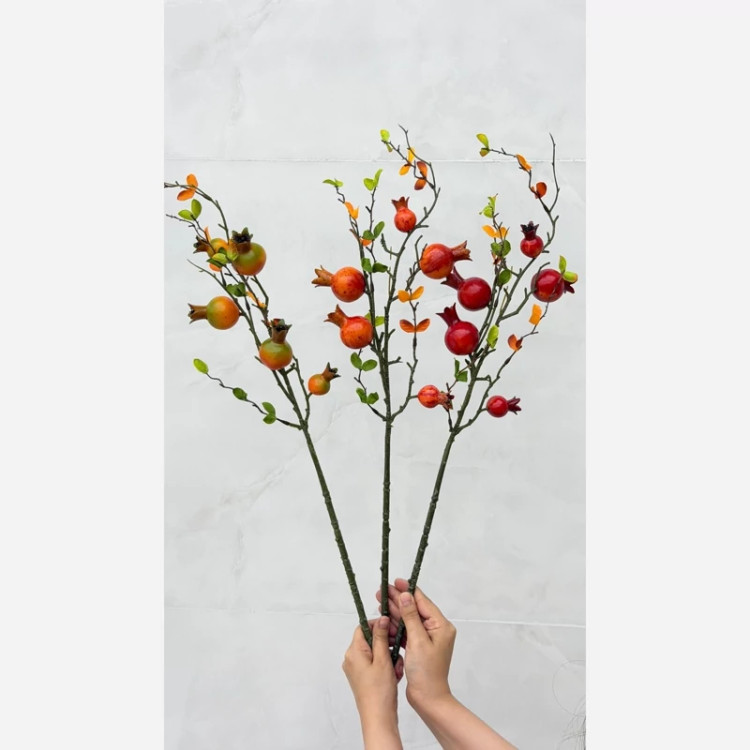شاخه انار وارداتی