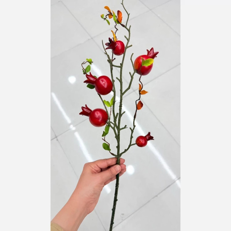 شاخه انار وارداتی