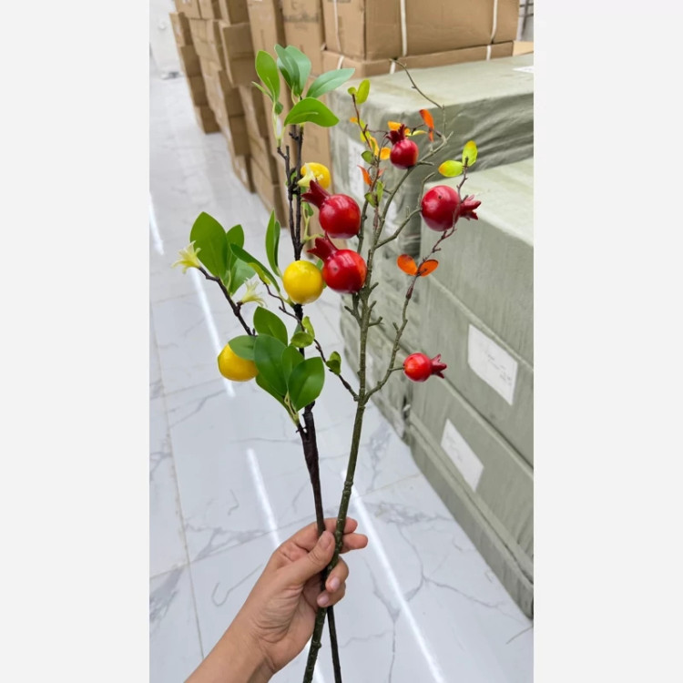 شاخه انار وارداتی