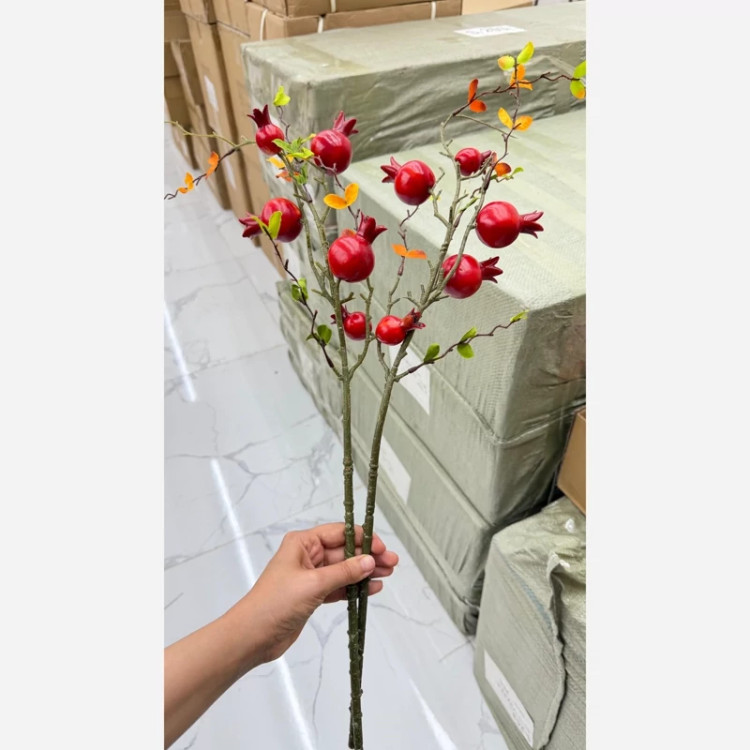 شاخه انار وارداتی