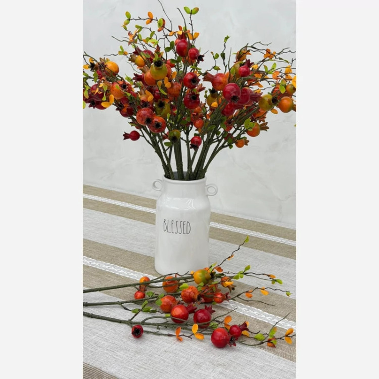 شاخه انار وارداتی