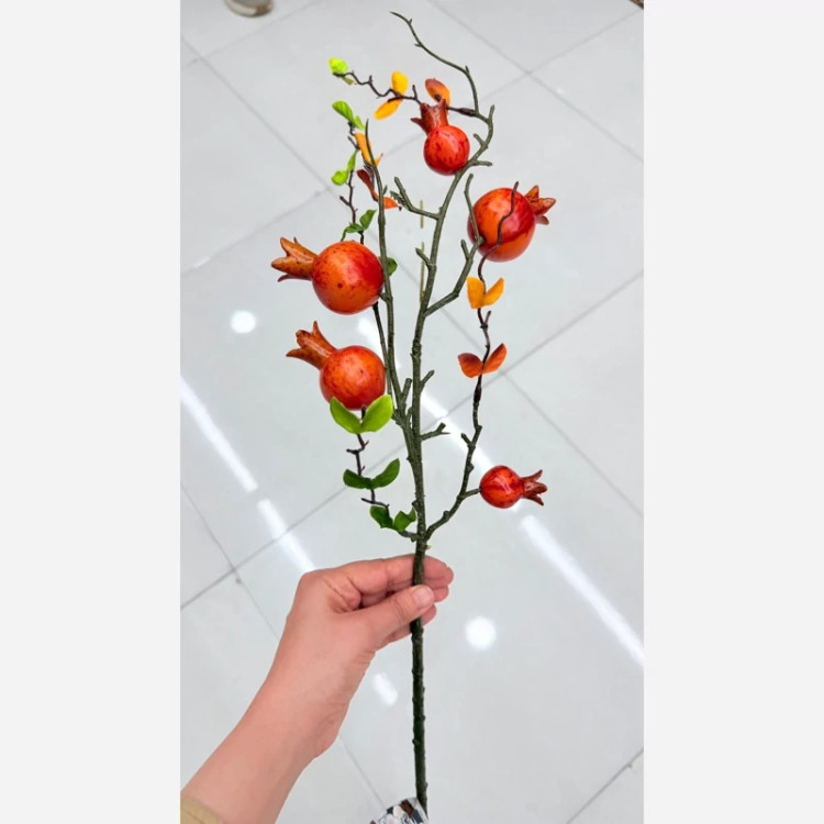 شاخه انار وارداتی